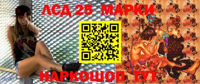 индика Краснознаменск