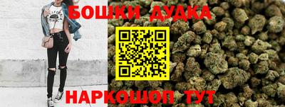 индика Краснознаменск